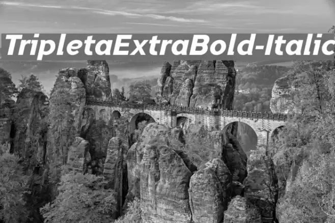 TripletaExtraBold-Italic examples