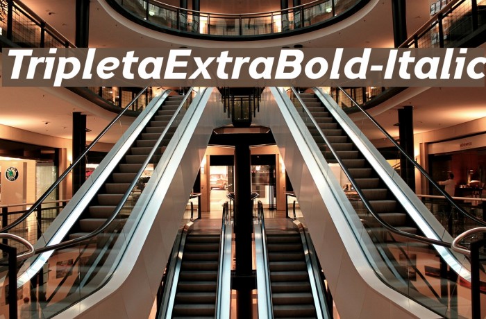 TripletaExtraBold-Italic Font examples