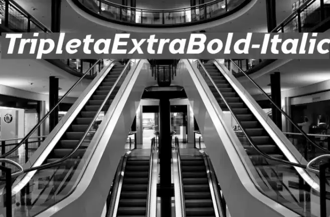 TripletaExtraBold-Italic examples