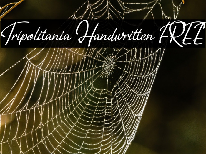 Tripolitania Handwritten [FREE] Example 3