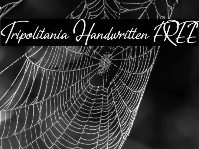 Tripolitania Handwritten [FREE] خط examples