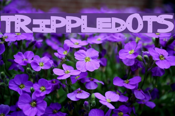 TrippleDots Font examples