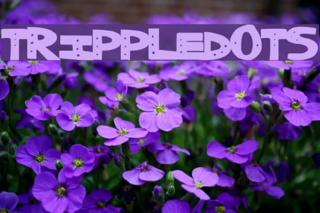 TrippleDots Example 2