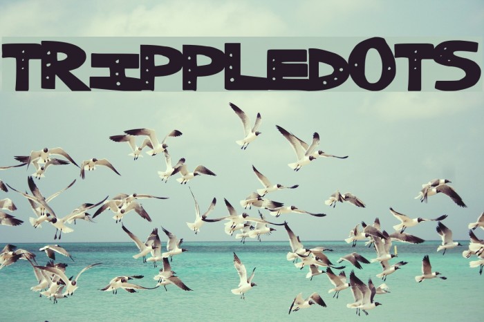 TrippleDots Font examples