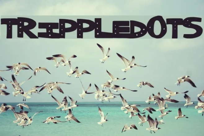 TrippleDots Example 3