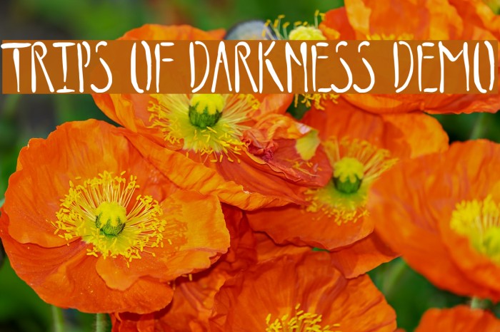 Trips of Darkness Demo Font examples