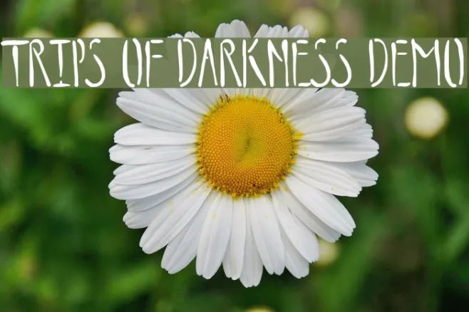 Trips of Darkness Demo Example 3