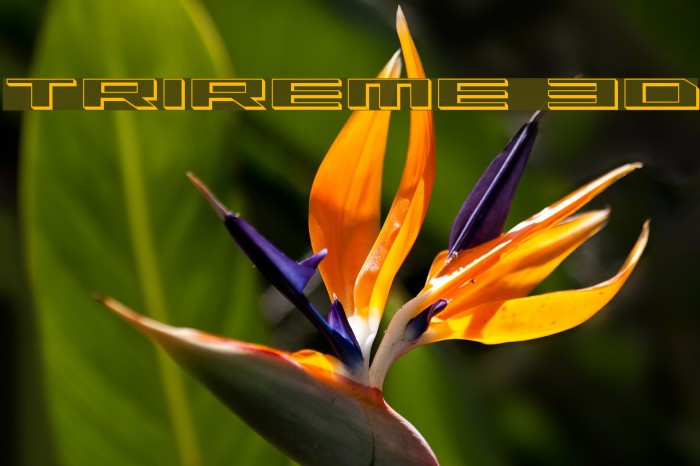 Trireme 3D Font examples