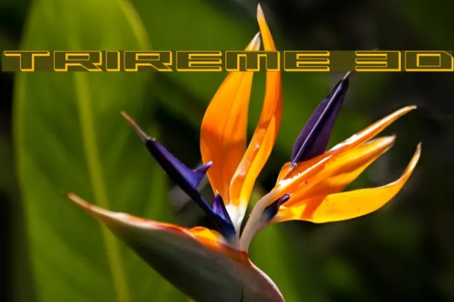 Trireme 3D Example 1