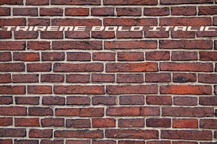 Trireme Bold Italic Example 1