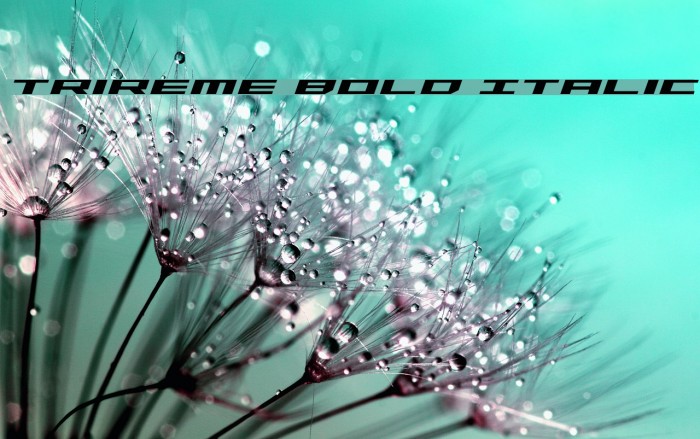 Trireme Bold Italic Example 2