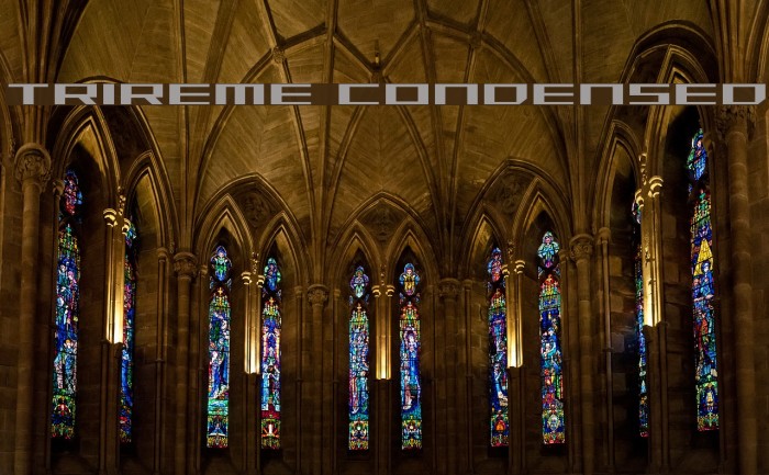 Trireme Condensed Example 3