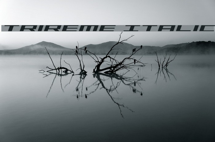 Trireme Italic Example 2