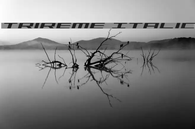 Trireme Italic Font examples