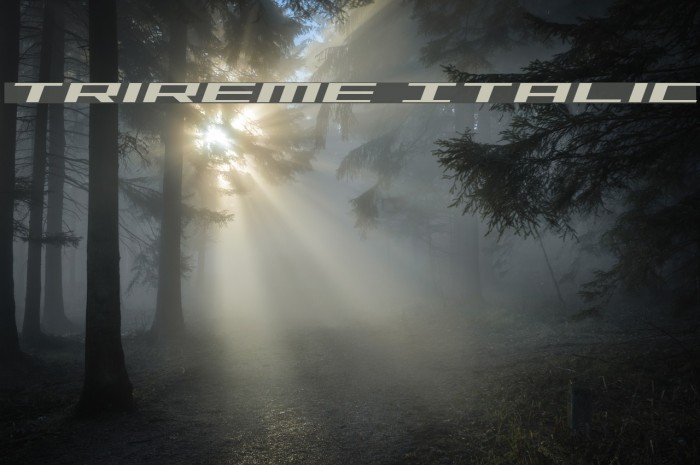 Trireme Italic Example 3