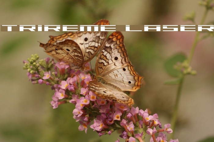 Trireme Laser Font examples