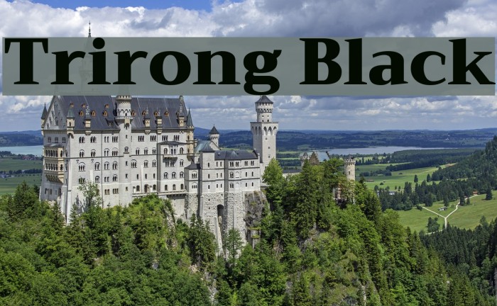 Trirong Black Font examples