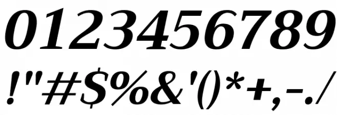 Trirong Bold Italic Font OTHER CHARS