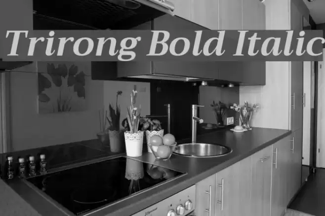 Trirong Bold Italic Font examples