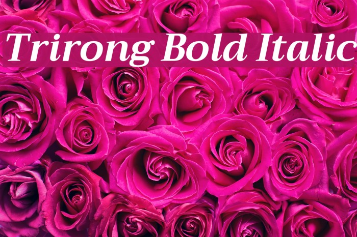 Trirong Bold Italic Font examples