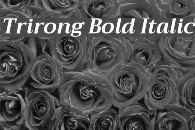 Trirong Bold Italic Font examples