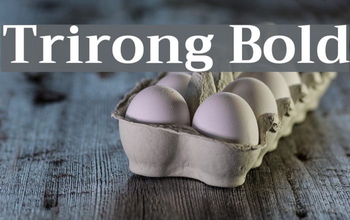 Trirong Bold Font examples