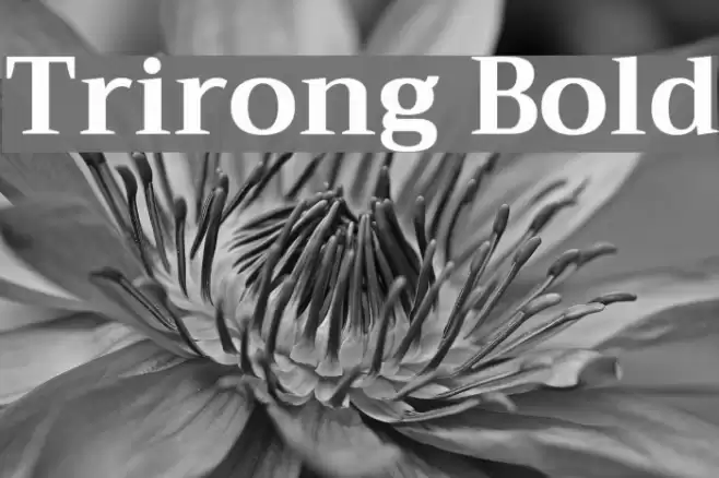Trirong Bold Font examples