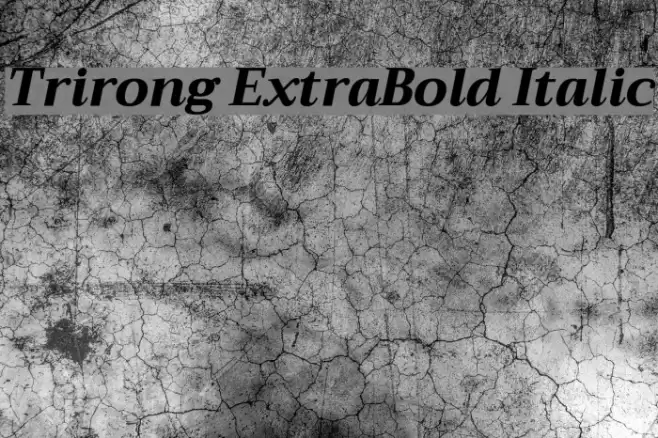 Trirong ExtraBold Italic Font examples