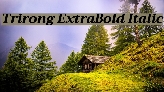 Trirong ExtraBold Italic Font examples