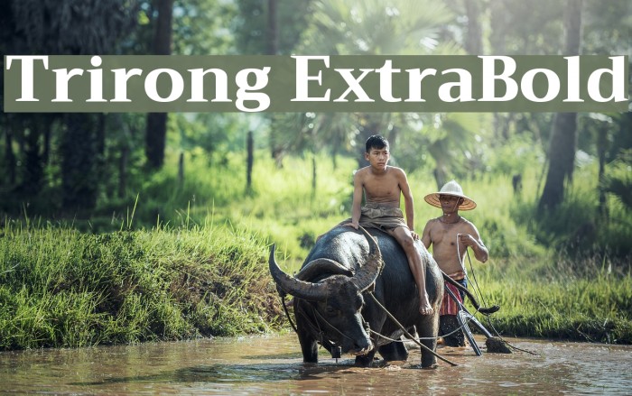 Trirong ExtraBold Font examples