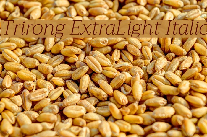 Trirong ExtraLight Italic Font examples