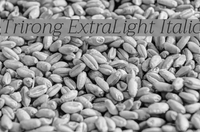 Trirong ExtraLight Italic  examples