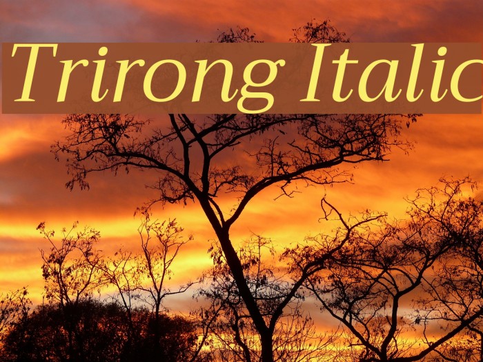 Trirong Italic Font examples