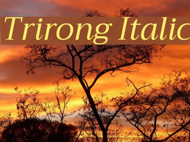 Trirong Italic Example 1
