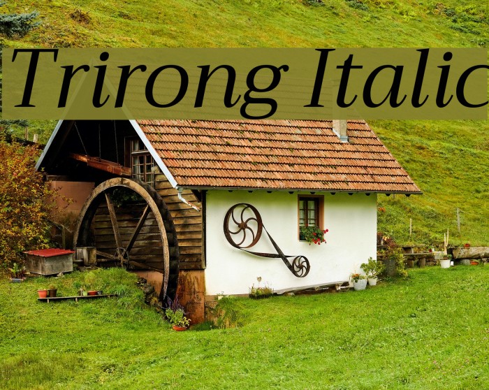 Trirong Italic Font examples