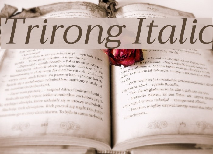 Trirong Italic Font examples