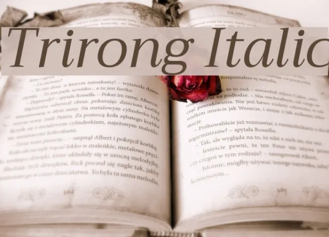 Trirong Italic Example 3