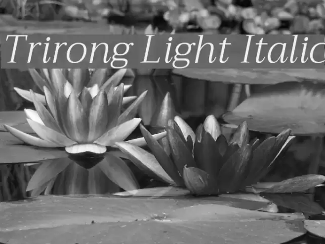 Trirong Light Italic  examples