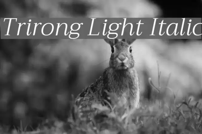 Trirong Light Italic  examples