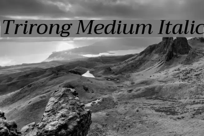 Trirong Medium Italic Font examples