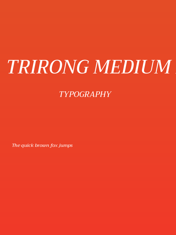 Trirong Medium Italic Poster