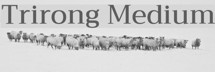 Trirong Medium Font examples