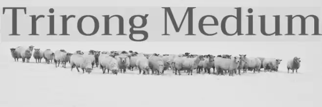 Trirong Medium Font examples