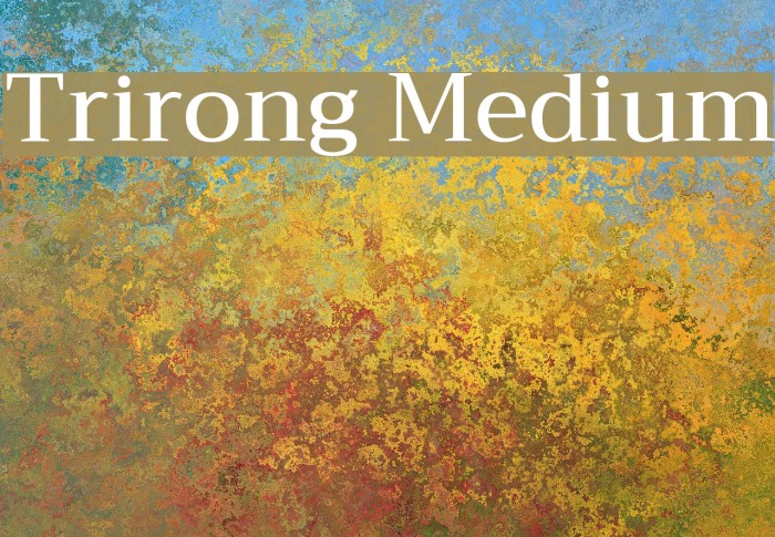 Trirong Medium Font examples