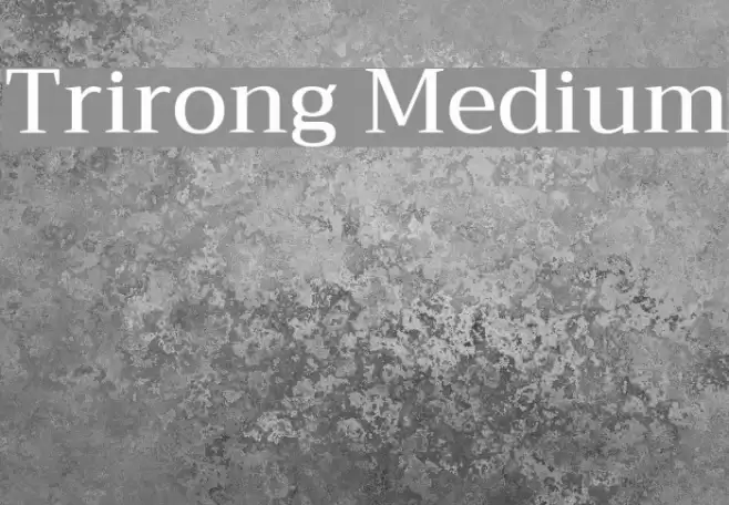 Trirong Medium Font examples