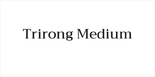 Trirong Medium Logo