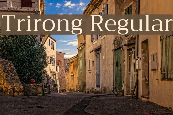 Trirong Regular Font examples
