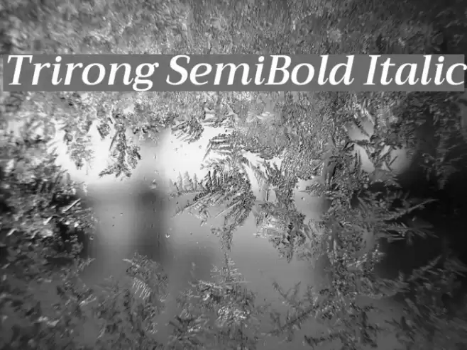Trirong SemiBold Italic Font examples