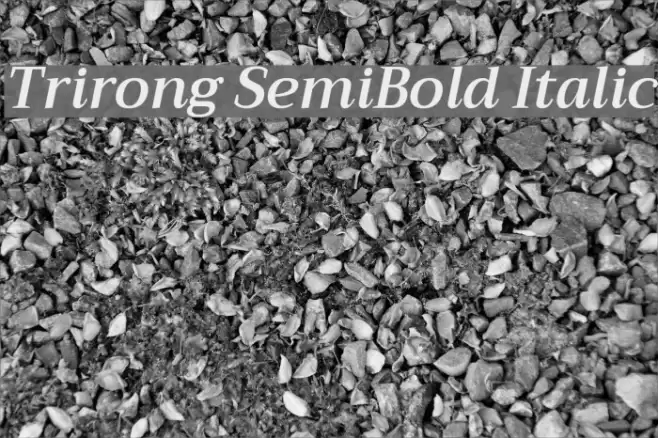 Trirong SemiBold Italic Font examples