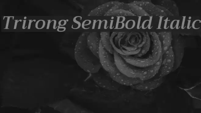 Trirong SemiBold Italic Font examples